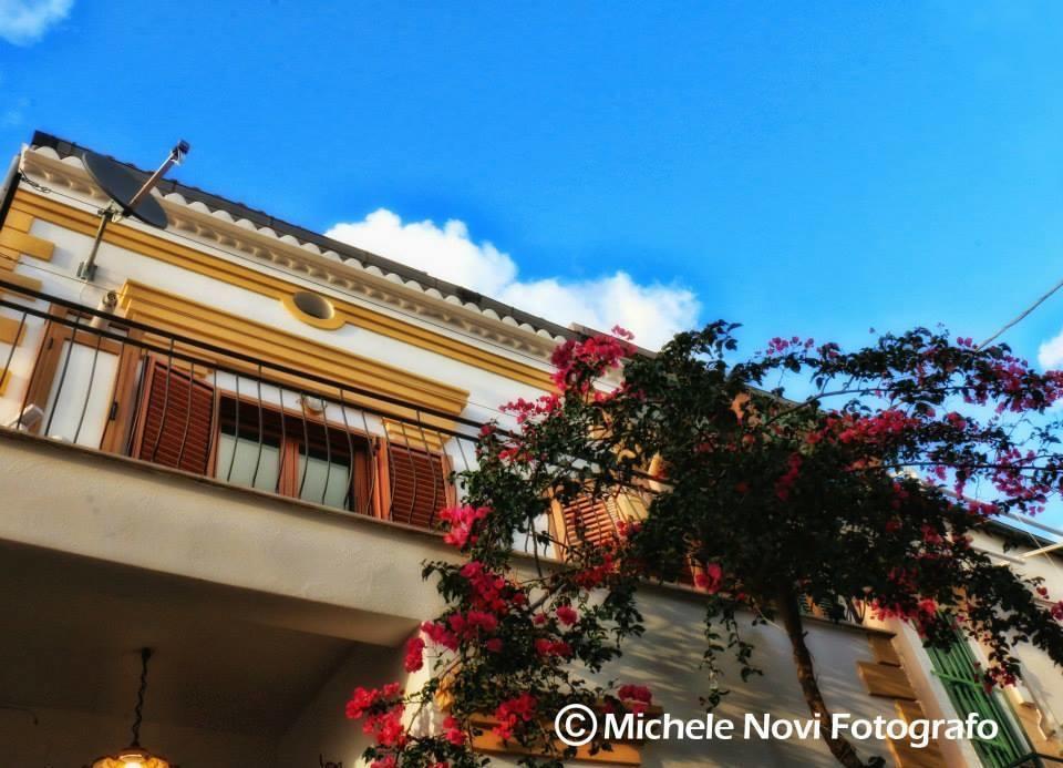 La Casa Di Ivana San Nicola Arcella Ngoại thất bức ảnh