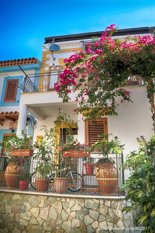 La Casa Di Ivana San Nicola Arcella Ngoại thất bức ảnh